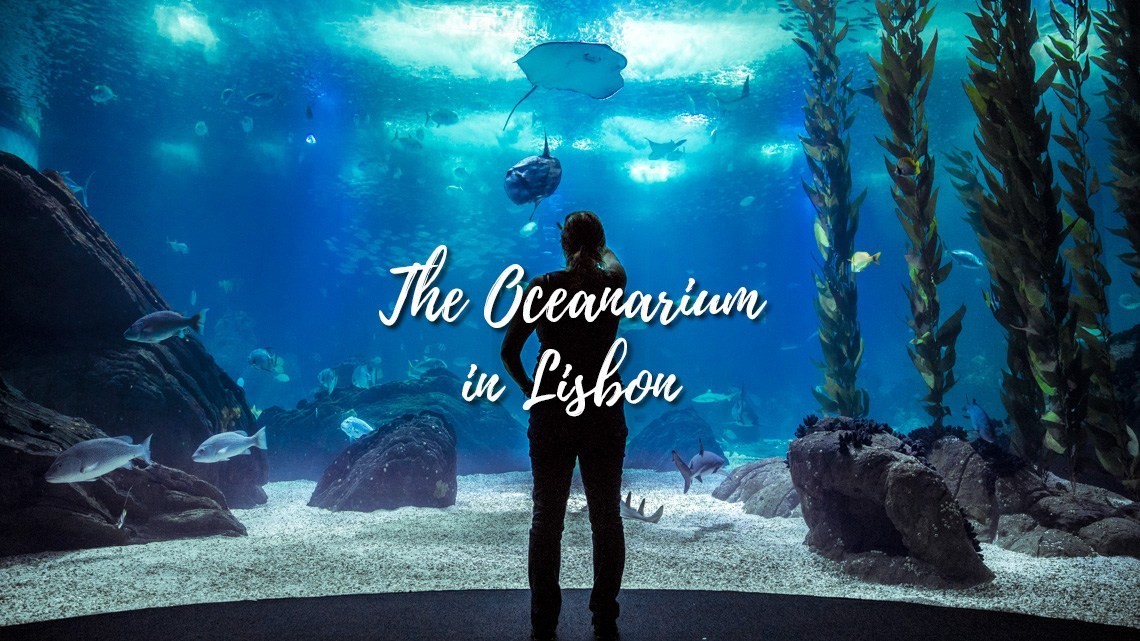 Oceanarium